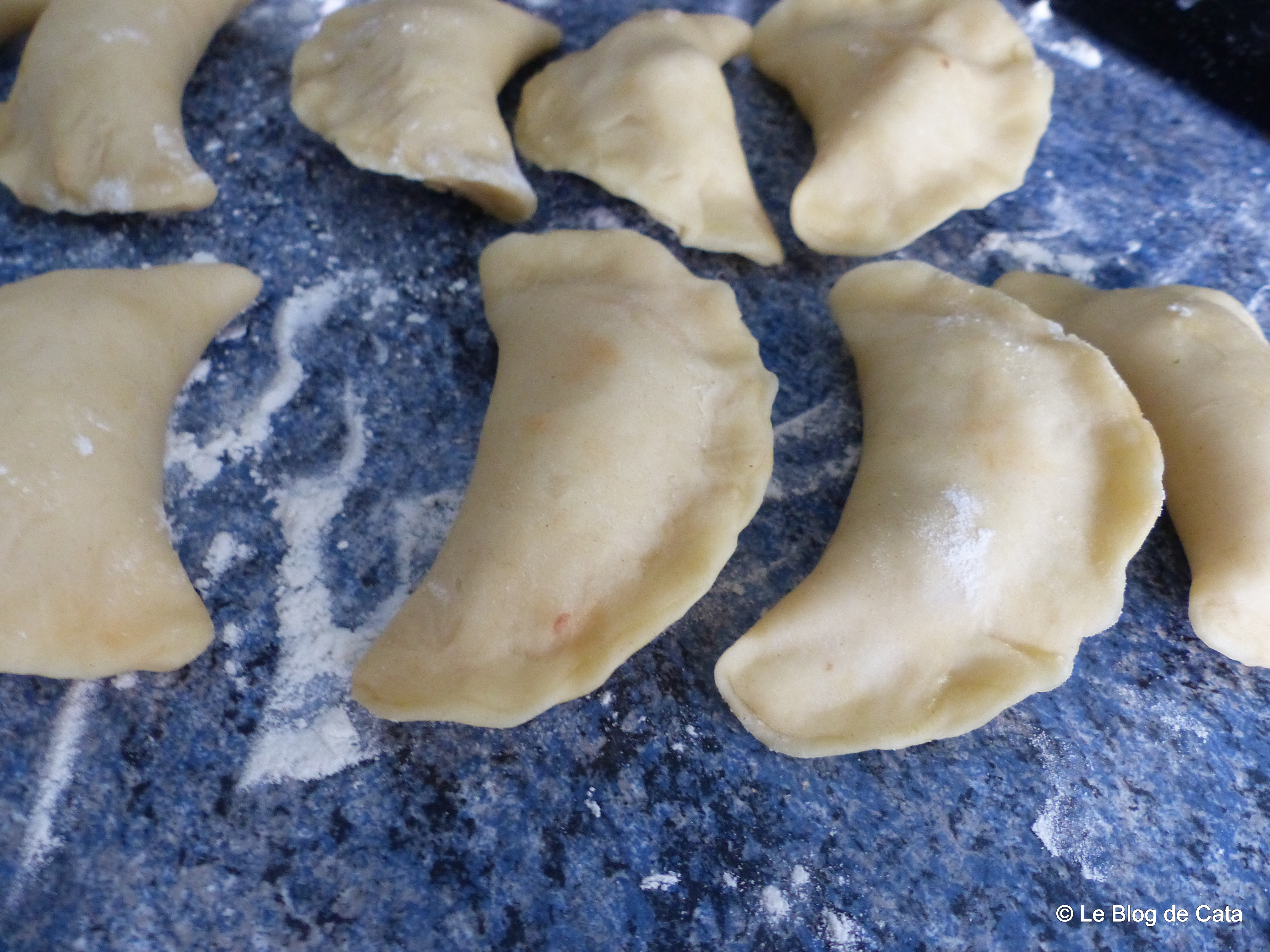 Empanadas / Pateuri  cu carne