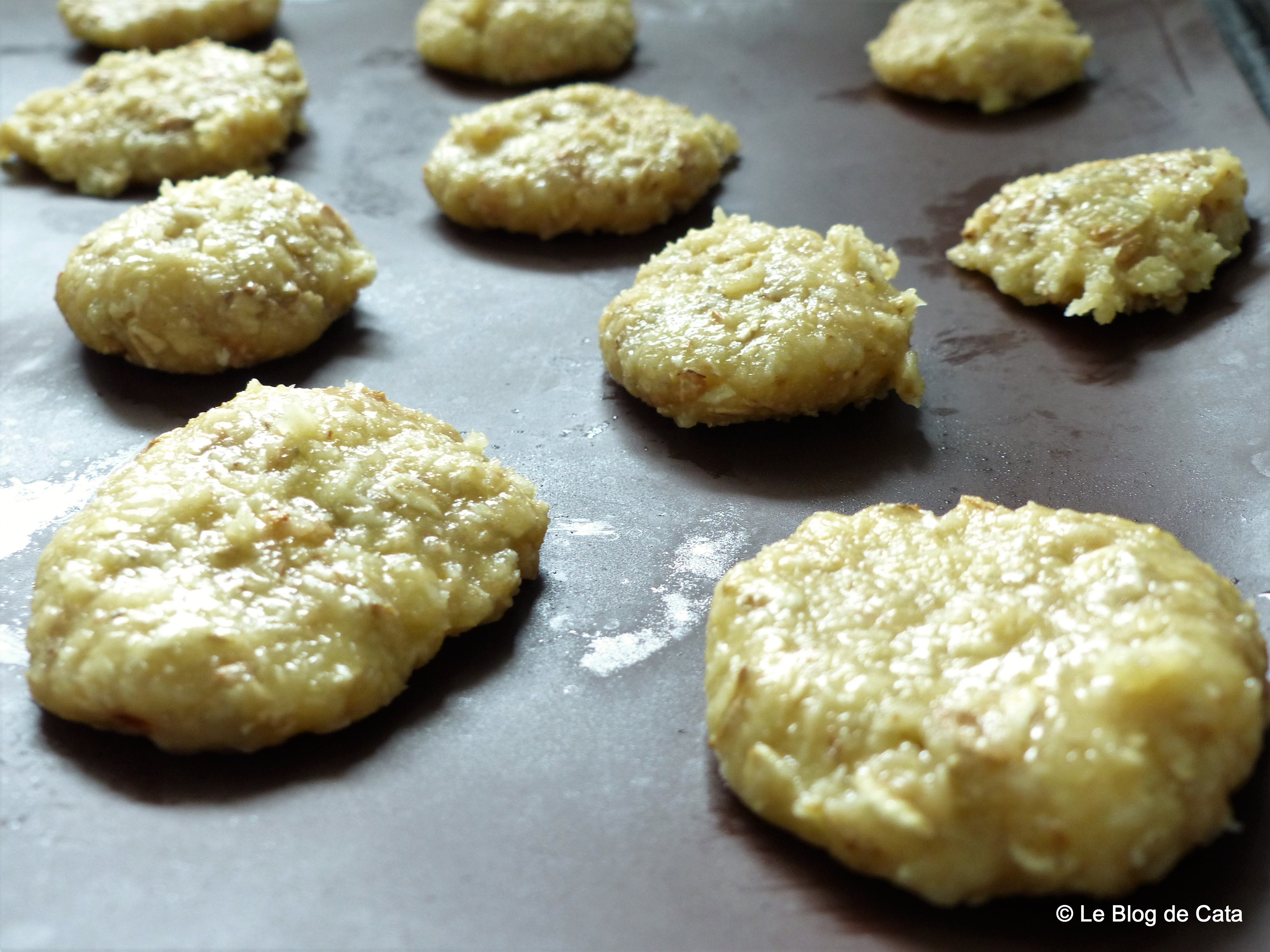 Desert biscuiti australieni ANZAC