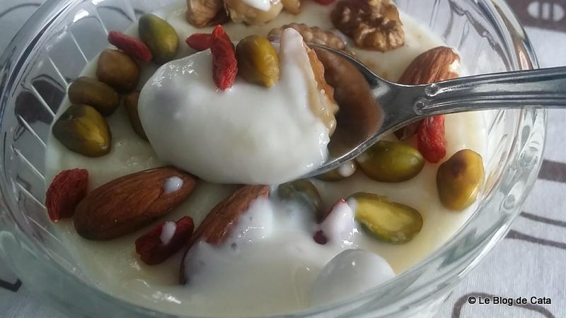 Desert crema de lapte orientala / Mhallabiye (Siria)