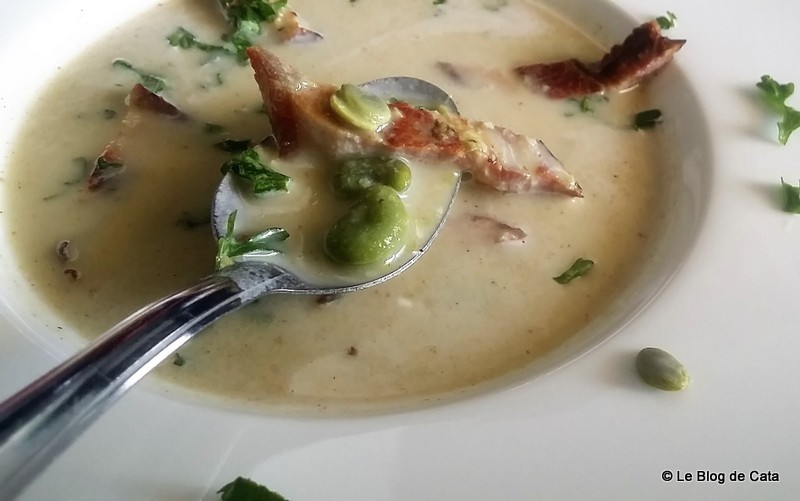 Supa crema de fasole proaspata fava