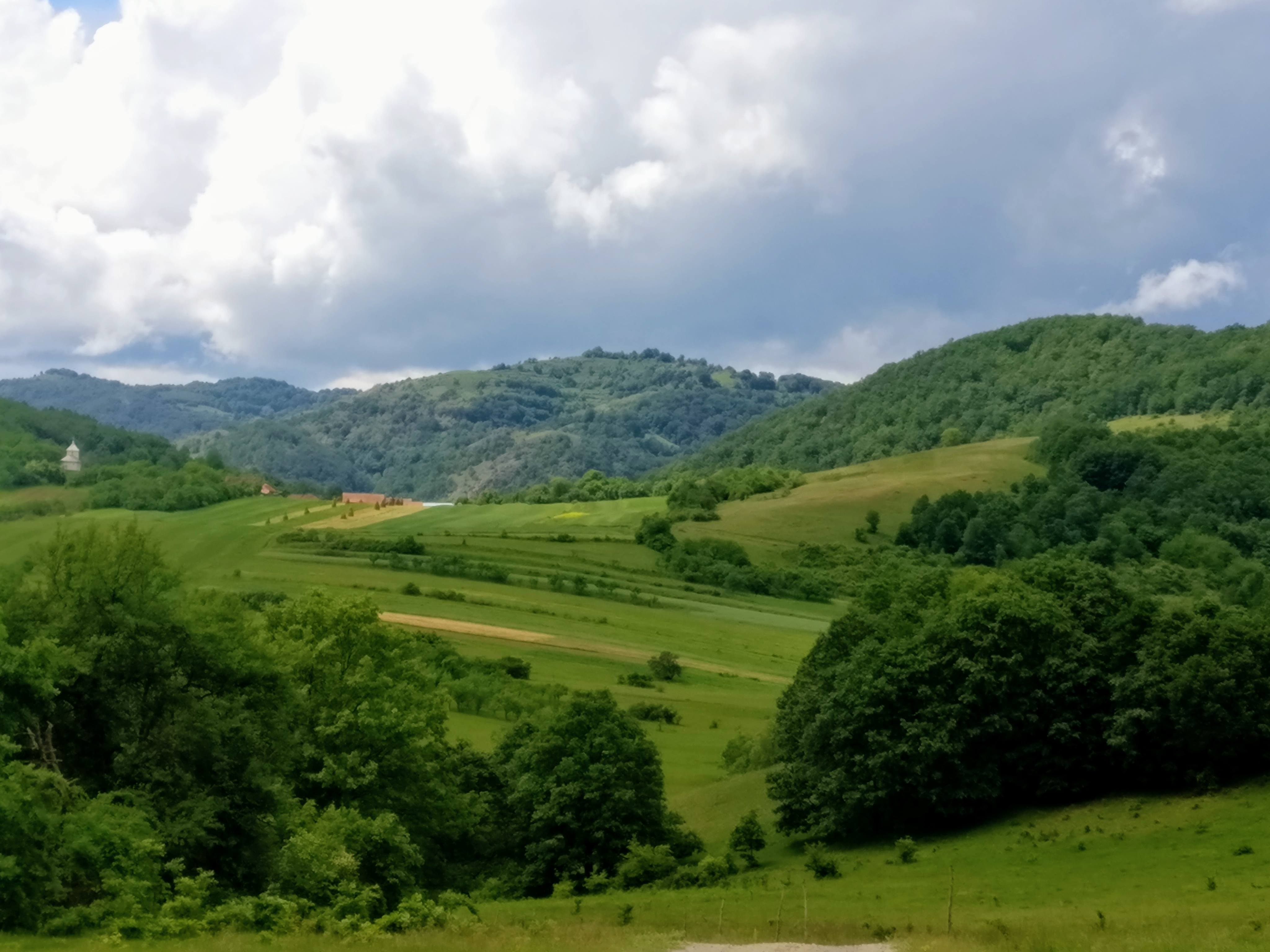 Ciorba de pitoance