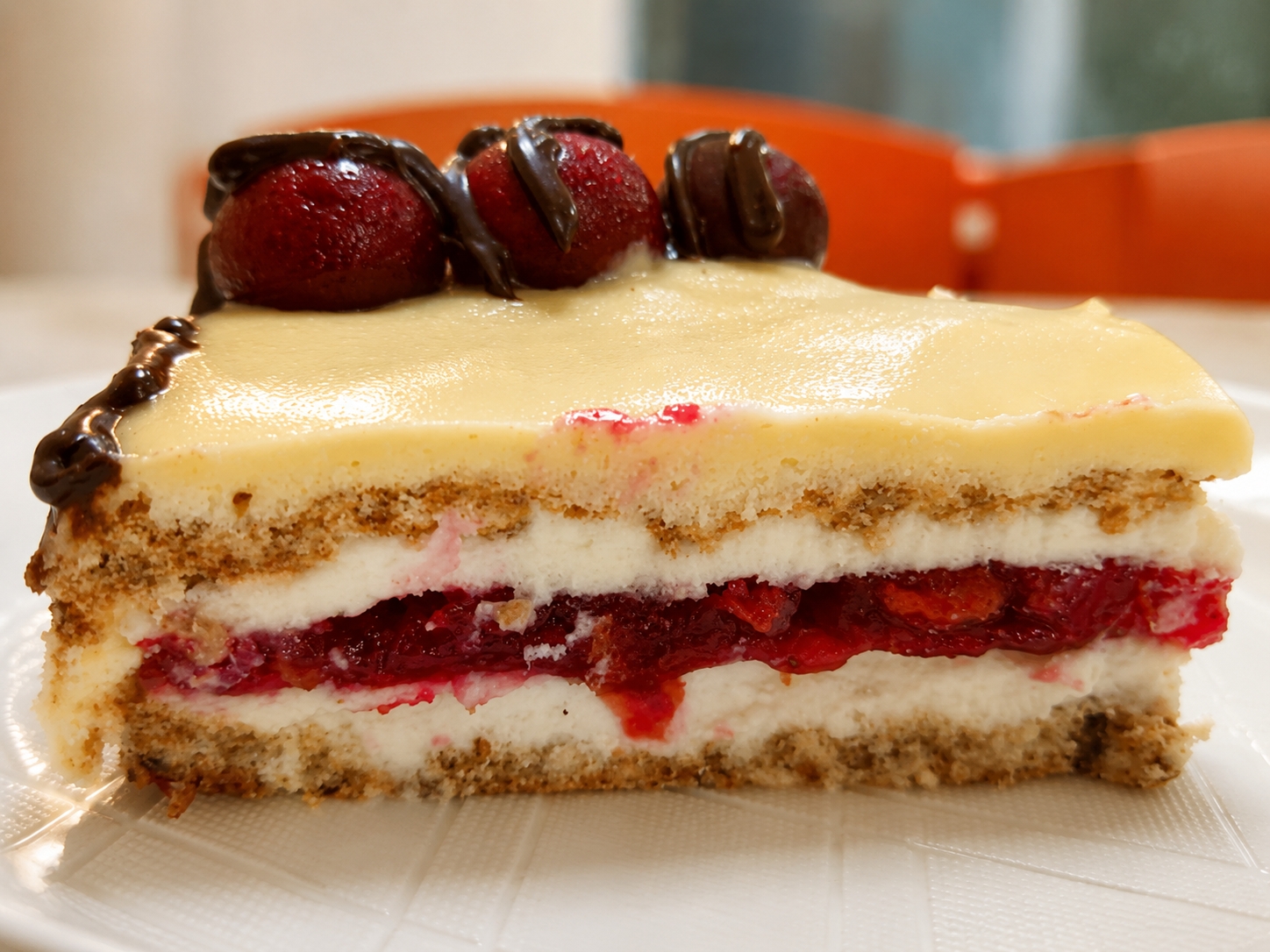 Desert tort aniversar