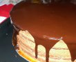 Desert tort amandina-12