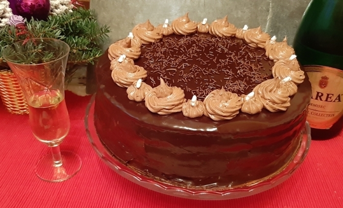 Desert tort amandina