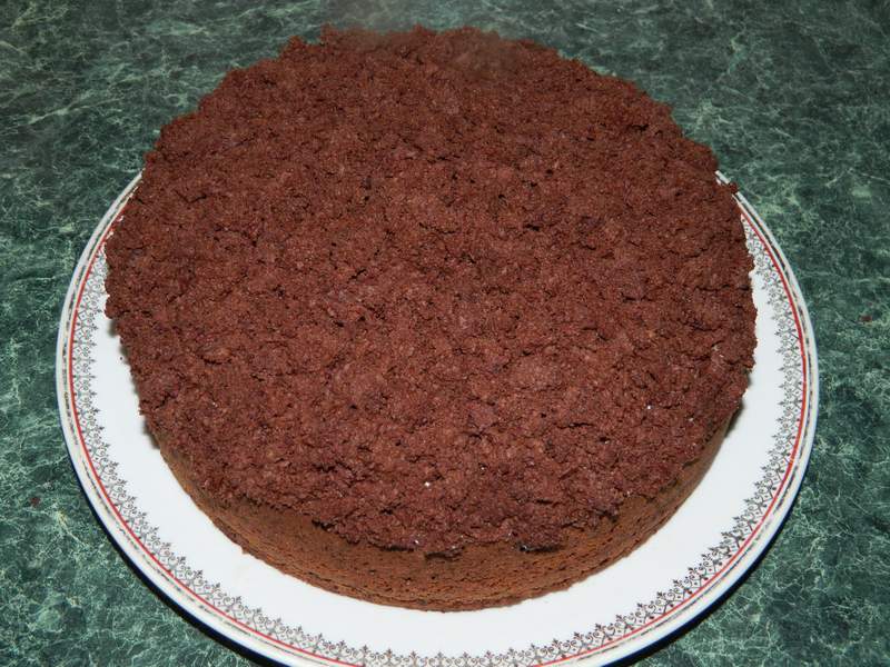 Desert tort musuroi de cartita