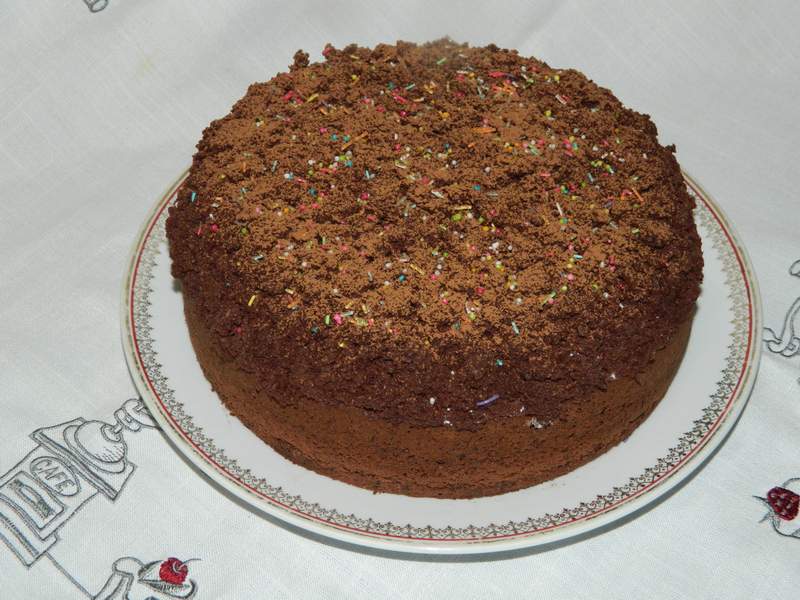 Desert tort musuroi de cartita