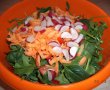 Salata primavaratica de post-3