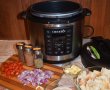 Tocana de ardei copti cu galuste bavareze, la Multicooker Crock Pot Express cu gatire sub presiune-0