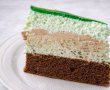 Desert cheesecake cu ciocolata si menta-16