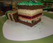 Desert tort teren de fotbal-30