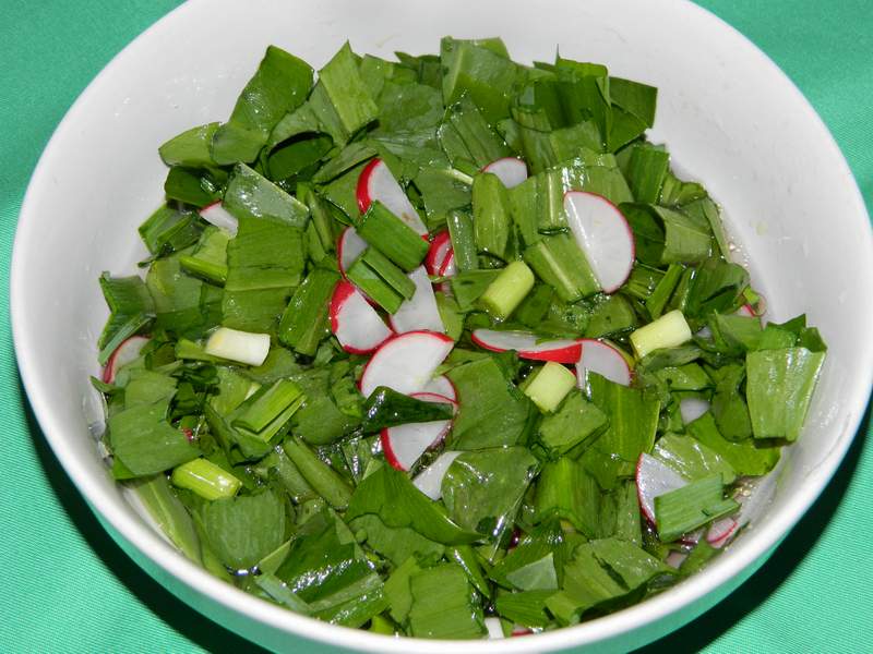 Salata de leurda