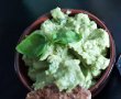 Guacamole rapid si parfumat-6