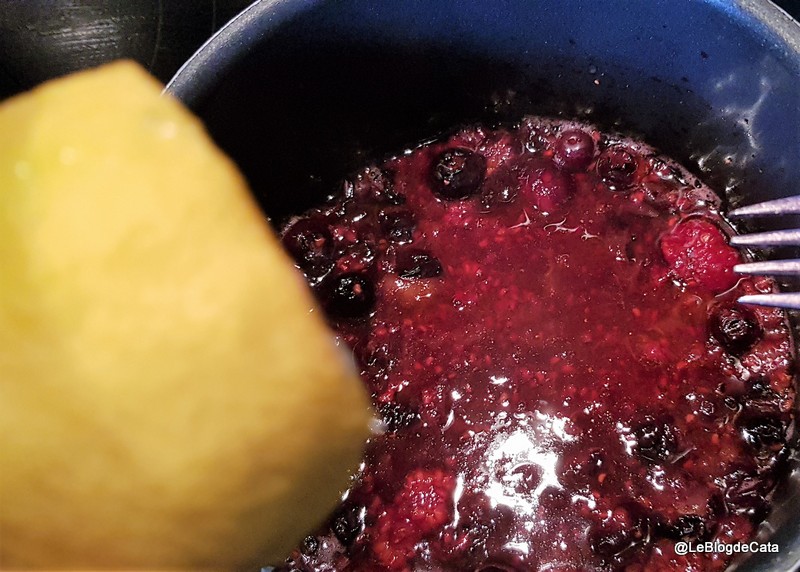 Desert panna cotta cu lapte de migdale si coulis de fructe de padure