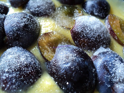 Desert cu prune, miere si lavanda