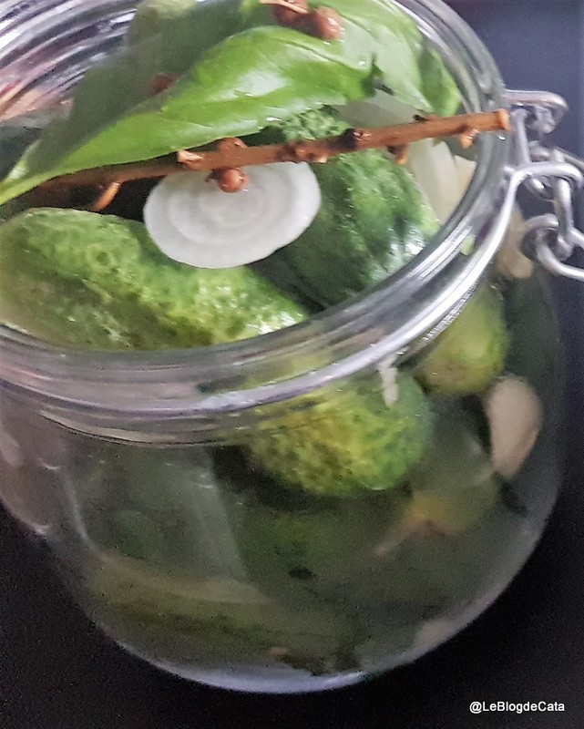 Castraveti in otet / Pickles