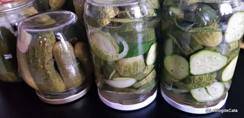 Castraveti in otet / Pickles