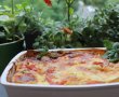 Lasagna inedita-15