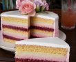 Tort cu crema de fistic, ciocolata si zmeura - Reteta delicioasa si aromata-10